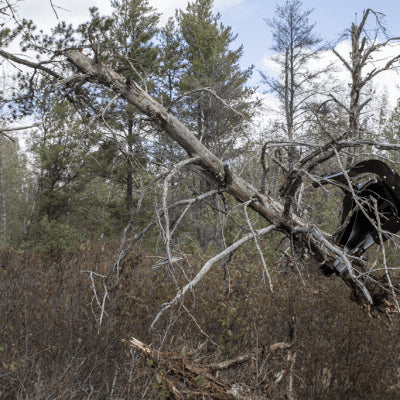 Tree + Post Puller